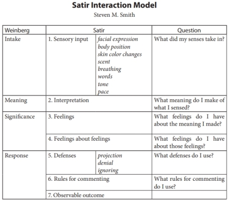 satir_interaction_model
